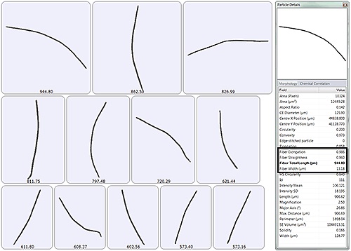 Example images of individual fibers by order of fiber total length and parameters recorded for every bacterium.