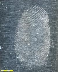 Highlighting fingerprint patterns on metal with oblique lighting.