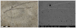 Location of scratch in the image revealed using DSX500 and BS-SEM