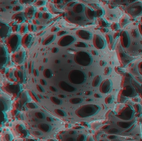 An example for live 3D stereoscopic imaging