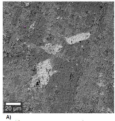 SEM Image of a geological diorite sample