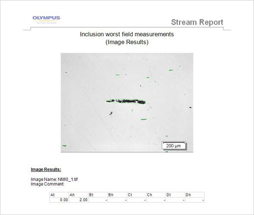Report generated by the digital analysis system