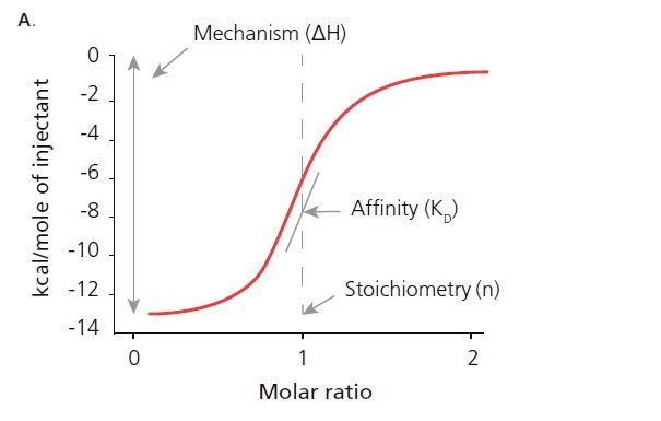 ITC determines thermodynamic properties including: the stoichiometry of the interaction (n), the afflnitycoavtantbie), change in enthalpy (ΔH), and change in entropy (ΔS).