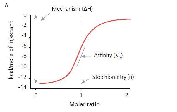ITC determines thermodynamic properties including: the stoichiometry of the interaction (n), the afflnitycoavtantbie), change in enthalpy (?H), and change in entropy (?S).