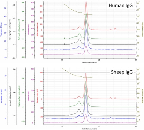 Multi-detector SEC chromatograms of human and sheep IgG samples - refractive index (red), right angle light scattering (green), low angle light scattering (black), viscometer (blue), ultra violet (purple). The molecular weight of species is shown in olive.