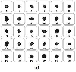 a) Example particle images for PJ pollen. b) Example particle images for AF pollen. c) Example particle images of TO and CL pollen.