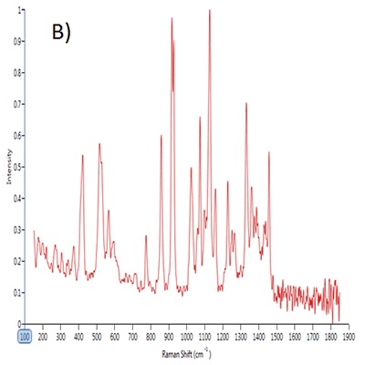 Point spectra of A) saccharin, B) dextrose and C) sucralose.