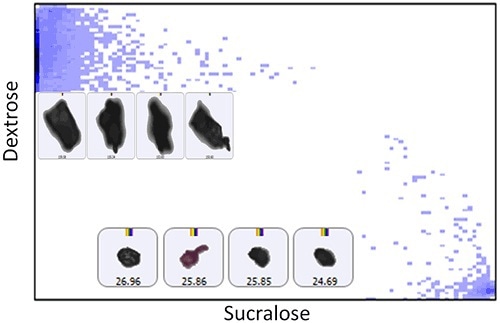 Scatter plot of the particle correlation value of sucralose versus dextrose for Sample B accompanied by example particle images.