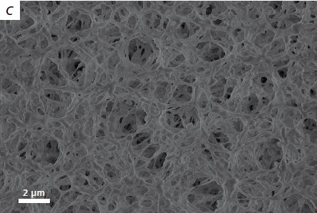 Image shows medium magnification of filter paper, imaged at 80 Pa and 3 kV Inlens SE.
