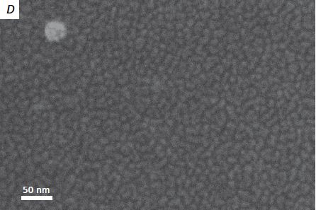 High magnification of Au/Pd thin film deposited on glass, imaged at 40 Pa and 5 kV, Inlens SE.