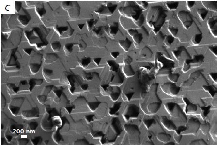 Etched silicon nano-structures imaged at 50 V beam voltagewithout sample biasing.