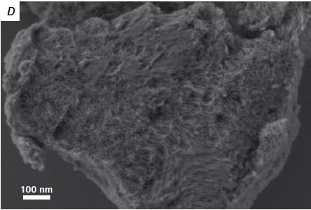 Mesoporous Silica imaged at 500 V.