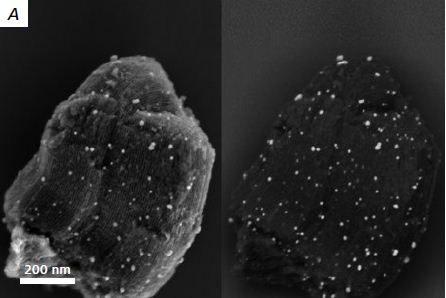 Catalyst: Silver nano-particles embedded in Zeolite, SE (left) and EsB (right), at 1.5 kV.