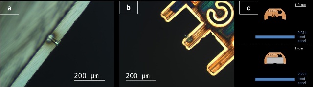 PIPS II optical images of: (a) FIB H-bar sample and (b) FIB lift-out specimen mounted on the side wall of a Cu grid. (c) Top view cartoons show samples in home position as they are inserted in PIPS II System for post FIB polish.