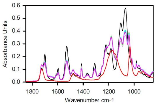 ATR FT-IR Absorbance spectra of CVC septa with various thicknesses (0nm to >10,000nm) of poly-sulfobetaine modification.