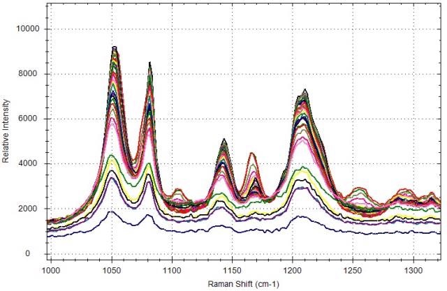 Expanded view of Raman spectra collected during citric acid phase transition.