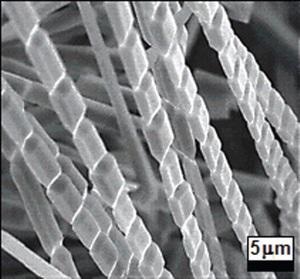 ZnO microfibers with periodic junctions with 6.2µm spacing