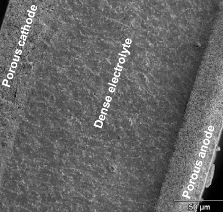 Scanning Electron Microscope image of cross section of solid oxide fuel cell