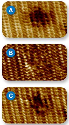 Individual molecules are resolved in height (A) as well as adhesion (B) and stiffness (C) maps, with a notable decrease in stiffness at the defect site.