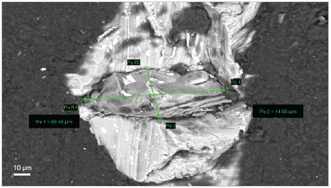 HDBSE image of an embedded particle, measuring 98µm x 44µm