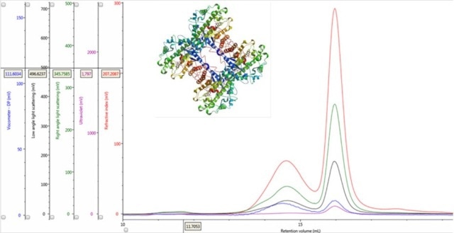 Multi-detector chromatograms of ß-amylase from sweet potato (Main); Crystal structure of ß-amylase from sweet potato (inset, PDB ID:1fa2).