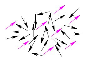 Two dimensional illustration of the oriented fraction f of dipoles (magenta) imbedded in a background of randomly oriented dipoles (black).