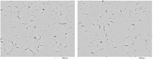 Example images of urea-formaldehyde taken with Hydro Sight.