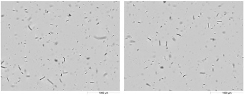 Example images of urea-formaldehyde taken with Hydro Sight.