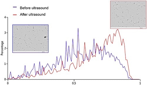 Hydro Sight elongation distribution before (blue) and after ultrasound (red).