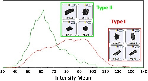 Intensity Mean distribution for the Type I and Type II particles as determined by the Raman spectroscopic results. Insets display example images of particles from each group.