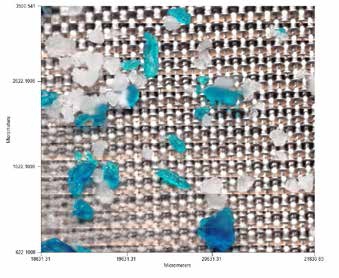 Microplastics in Product 1 (facial scrub) collected on mesh.