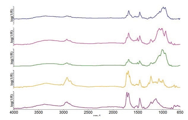 Spectra obtained for the different layers in the ATR experiment.