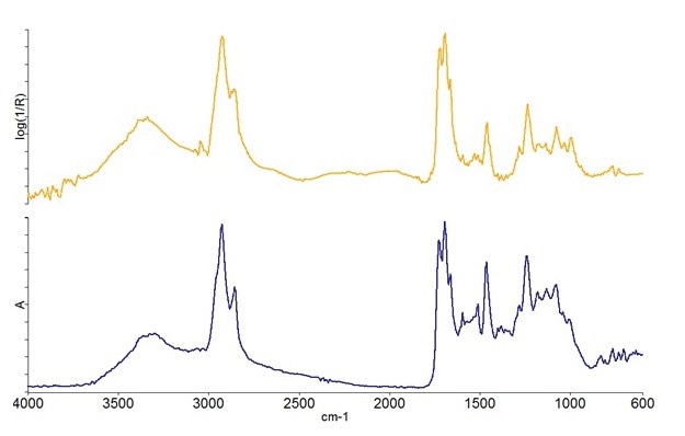 ATR-corrected spectrum (top) and transmission spectrum (bottom) for one of the layers in the paint chip sample.