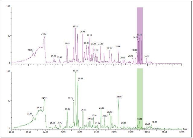 The GC/MS data collected during the TGA analysis of PVC with DINP (purple - top) and with a mixture of non-regulated phthalates (green - bottom). Differences are noted in peaks with tentative identification as phthalates around 30 minutes.