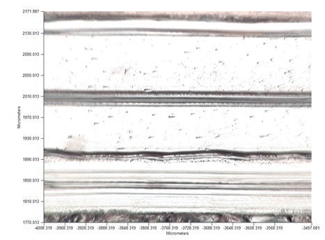 Visible image of the polymer laminate measured in transmission