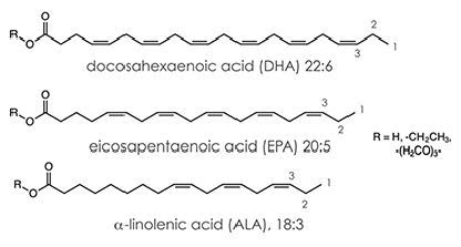 Structures of DHA, EPA and ALA molecules