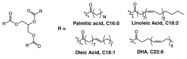 Structures of DHA, palmitic, linoleic and oleic acids.
