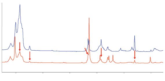 Raman spectra of C4 gases