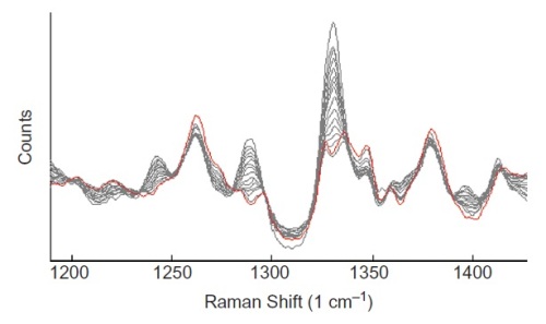 Baseline-corrected Raman spectra of tablets at different stages of coating.