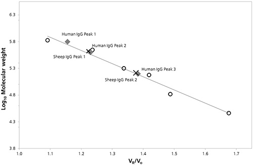 SEC Column calibration curve with sheep (cross) and human (diamond) IgG data superimposed.