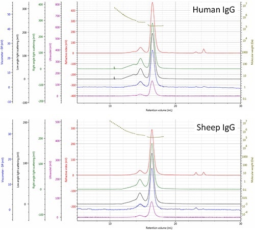 Multi-detector SEC chromatograms of human and sheep IgG samples - refractive index (red), right angle light scattering (green), low angle light scattering (black), viscometer (blue), ultra violet (purple). The molecular weight of species is shown in olive.