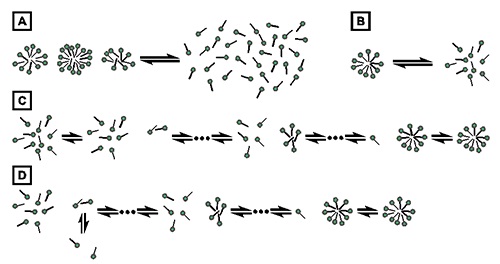 Thermodynamic models of micelle formation. (A) Pseudophase separation model. (B) Closed association model. (C) Isodesmic model. (D) Cooperative aggregation model.