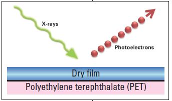 Schematic of dry film surface after polypropylene layer was peeled away