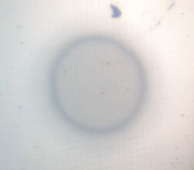 Optical image of the circular etch crater obtained by azimuthal rotation during depth profile sample analysis.