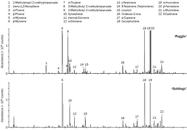 Expanded views of the TD–GC–TOF MS chromatograms comparing the aroma profiles of three varieties of hops, with key compounds shown. hops, with key compounds shown.