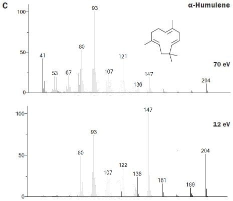 Spectral comparisons at 70 and 12 eV for a selection of the mono- and sesquiterpenoids that are important for contributing the characteristic aroma of hops to beer.