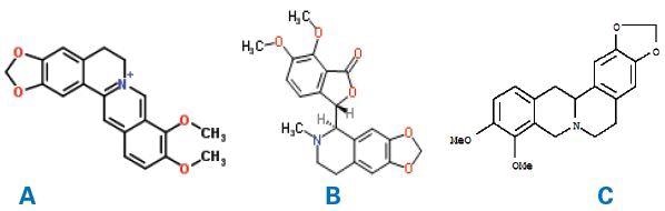 Molecular structures of berberine(A), hydrastine(B) and canadine (C).