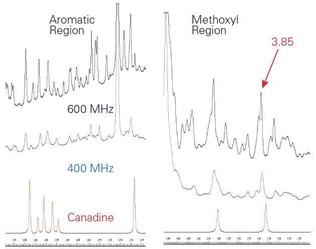 Expansions of the aromatic (left) and methoxyl (right) regions of the 1H NMR spectra of goldenseal at 600 MHz (black) and 400 MHz (blue) as compared to the SBASE entry for canadine (red). The signal-to-noise of the methoxyl signal (3 equivalent protons) at 3.85 ppm was 494 at 400 MHz and 891 at 600 MHz. Slight shifts in peak positions were observed.