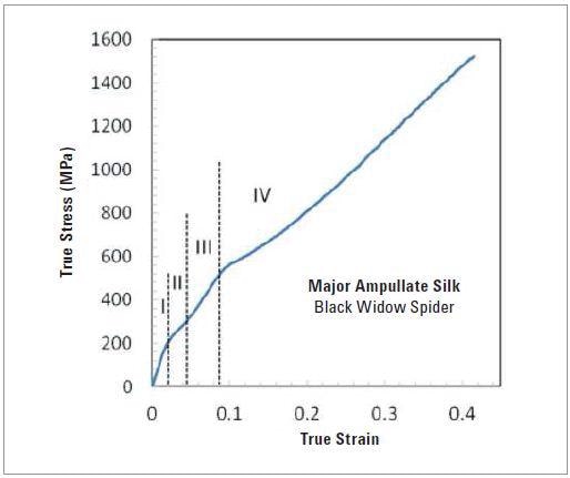Typical tensile stress-strain behavior of major ampullate silk (diameter 1.8 µm) from Black Widow spider