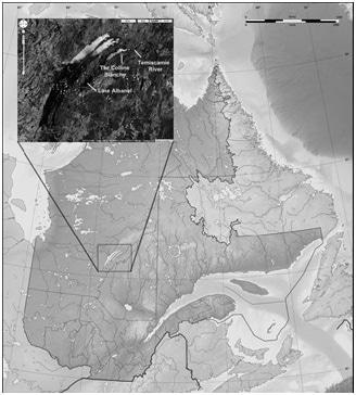 Map of the source location of Mistassini quartzite in the Colline Blanche formation, central Quebec, Canada.